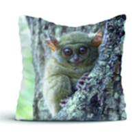 Kussens binnen of buiten